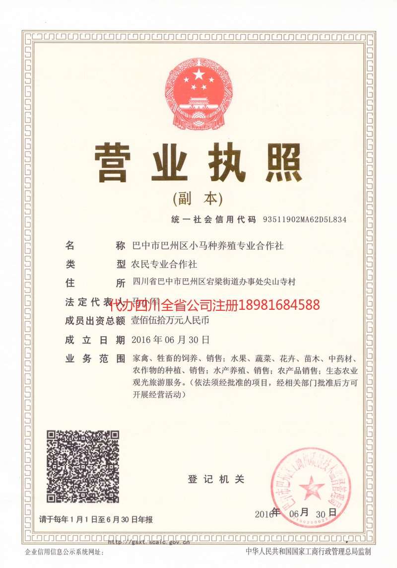 灯塔灯塔小马种养殖专业合作社